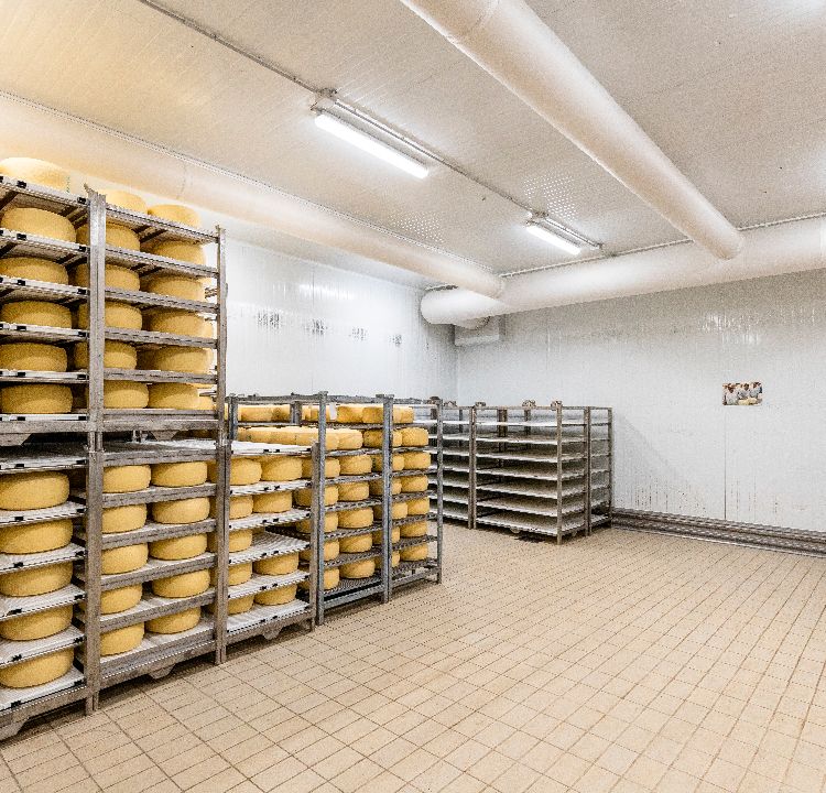 Foto Cantiere Latteria 11