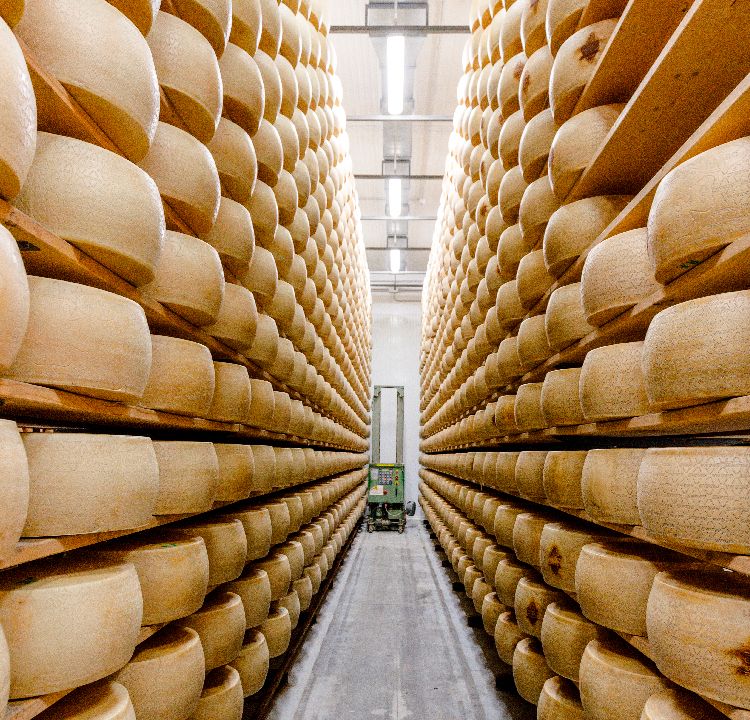 Foto Cantiere Latteria 9